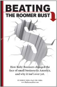 Boomer Bust Cover